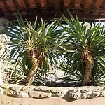 House Rea With Bbq And Two Terrace Hébergement de vacances