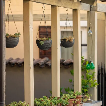 House Rea With Bbq And Two Terrace